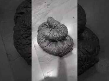 POOP EMOJI!!!