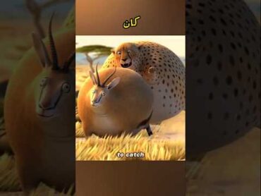 غابه مليئة بالحيوانات السمينة shorts كرتون فيلم انمي اسراء نبيل اكسبلور
