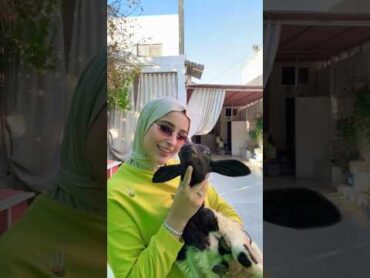 ترند تيك توك ضحى العريبي شافونا تنين ❤️✨ ضحى العريبي douhalaribi  ترند تيك توك