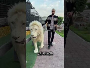 روتين أغنى رجل في العالم