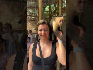 الينا انجل في حديقة الحيوانات 🐒❤️ الينا انجل اكسبلور