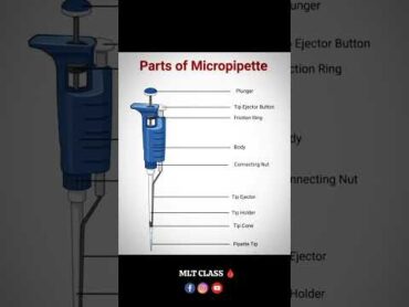Parts Of Micropipette 💥 trending viral lab dmlt bmlt micropipette pipette laboratory mlt