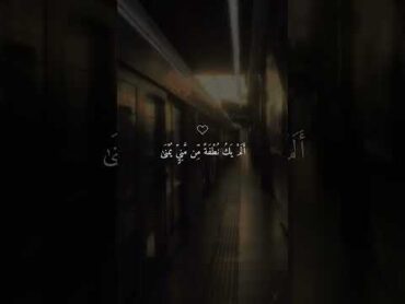 لطفاًحمایت کنیدصدقه جاریه است❤️برای دیدن مطالب بیشترصفحه مارا دنبال کنید 😍💐قرآن قرأن ماهرالمعيقلي