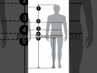 Tips for beginner crossdressers  Part 5: Know your measurements crossdressing mtf crossdresser