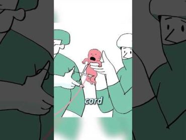 Life Bound by Parents anime animation recap