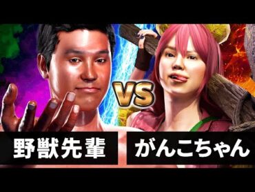 【NHK狂育バトル】野獣先輩 vs がんこちゃん【超絶バトル淫夢CGアニメーション】【やっぱり彼は王道を征く】