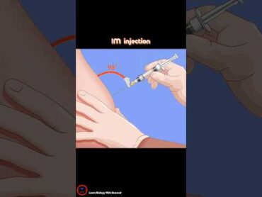 Intramuscular Injection  How to Mix and Administer !?