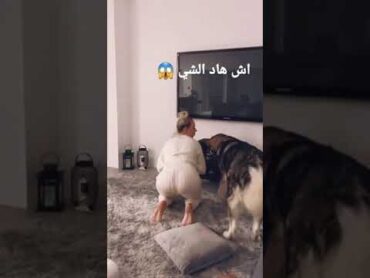 كلب يغتصب  صاحبته