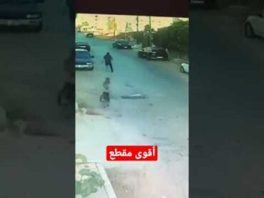أقوى مقطع.. كلاب ضالة تهاجم شابا في الشارع العام بمدينة اربد