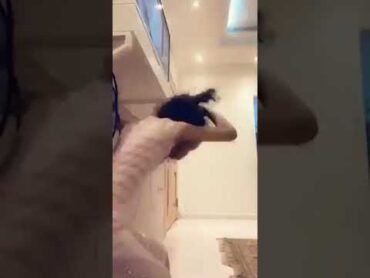 مندمجه واهي ترقص الطقه أليمه 😂😭 بنت ترقص ضحك الله يسهلك