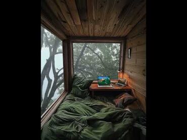 Cozy Tree House Camping on a Rainy Day aesthetic livewallpaper meditation  relax camping cozy
