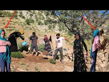 Zahra&39;s Colorful Life: A Story of Struggle and Solidarity in the Heart of Nature