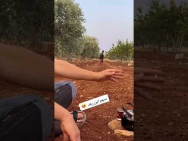 بتتوقعو سهم يطلع متل ابوه ولا لا😎⚡🔥 خيل العربي الاصيل horse