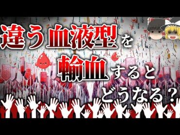 【衝撃】別の血液型を輸血すると体に何が起きるのか？知らないと危険な雑学！【ゆっくり解説】