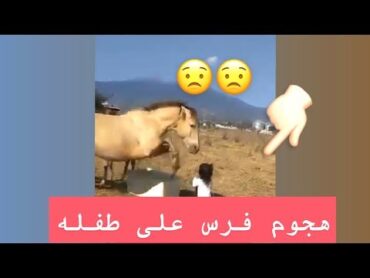 اوف هجوم فرس على طفلة 😣😟 تعال اعرف السبب !! (توجد مشاهد قاسية)
