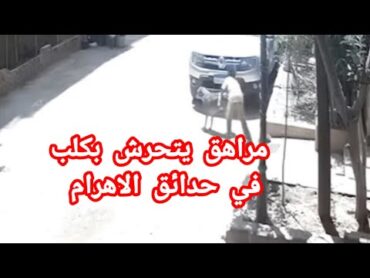 يحمل جنسيه عربيه تفاصيل تحرش مراهق بكلب في حدائق الاهرام😱