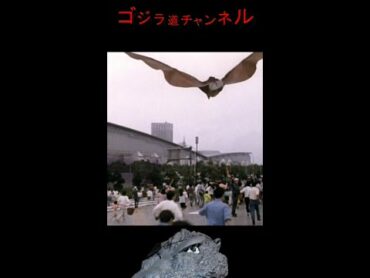 【今日のゴジラ】7月24日/Today’ｓ GODZILLA July 24【ゴジラvsメカゴジラ/エキストラロケ/Godzilla vs Mecha GodzillaⅡ】shorts