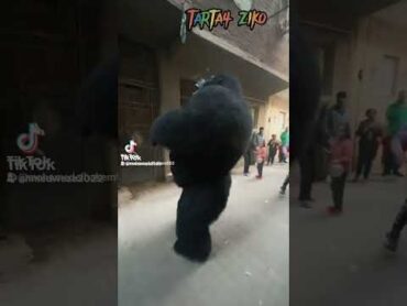 شاهد 🤗الغول المجنون🦍😜هههههههه🤪🤣🤣🤣