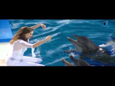 Shaymaa Sa&39;ed  W Lessa Elayaly / شيماء سعيد  ولسة الليالى