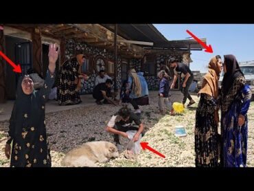 Zahra’s Nomadic Family: From Cleaning the Kitchen to the Qodrat Family Meeting Zahra’s Family
