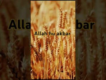surah yunus ayat Urdu translation qurqn islamicvideo viralvideo shortsfeed bayan shorts
