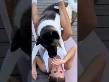 Fun home fitness with your dog dogs dogfunny funnydogs fitness homeworkout beautifulgirl