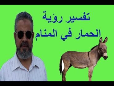 تفسير رؤية الحمار للعزباء والمتزوجة والحامل والرجل والعازب في المنام/ اسماعيل الجعبيري