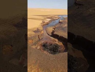 This is how oil is extracted in Saudi Arabia shortsvideo
