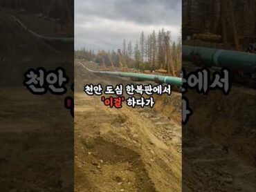 천안 도심 한복판에서 이걸 하다가 체포된 중국인들이 소름 돋아요