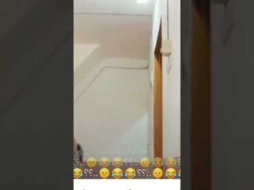عباس الركابي ينزع ملابسه ب البث 😱shorts