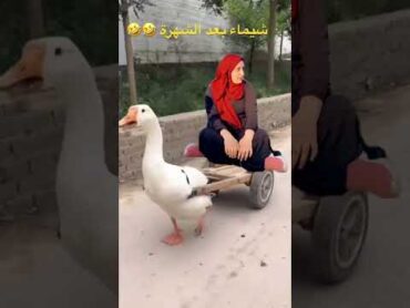 شيماء بعد الشهره 🤣🤣