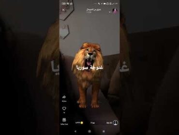 فضائح التانجو / شوق من سوريا