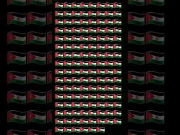 أينا علم فلسطين