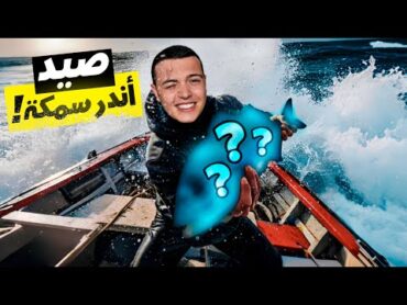 طبختها على الشاطئ مع فواكه البحر الشهية  رحلة إلى الأعماق لصيد أندر سمكة في البحر !