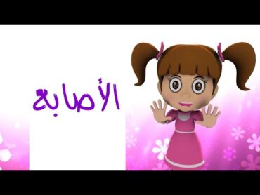 الأصابع  طيور بيبي Toyor Baby