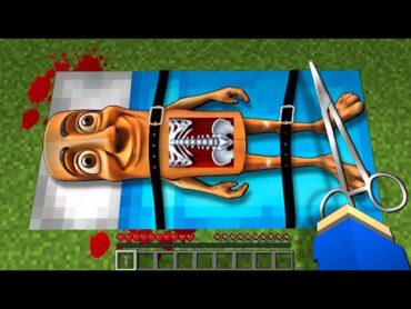 病気になった『トゥントゥントゥンサフール』を手術するマインクラフト😱【マイクラ まいくら】ぽっぴんず