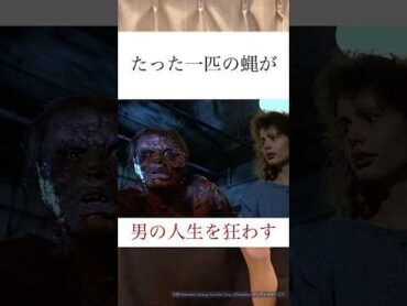 間違えてハエと合体！最悪展開。映画『ザ・フライ』のネタバレなし紹介 映画 映画紹介 映画感想 おすすめ映画 洋画