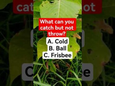 What can you catch but not throw? shorts trending puzzle riddles quiz challenge viralshorts