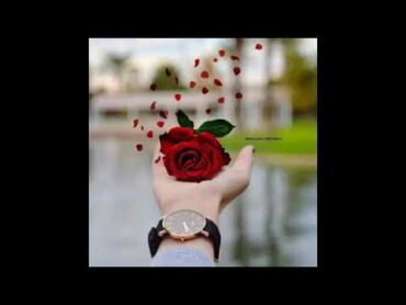 صور خلفيات واتس اب