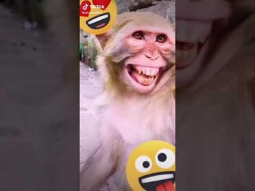 پيكه نين