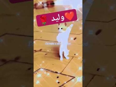 وليد طلب خاص وليد foryou waled shorts sh short ترند cat