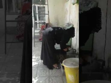 قصاب حیوانات بز خوک اشتراک حمایت sumeakter