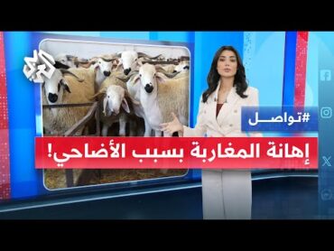 "عباد الدوارة" .. كيف أهان وزير مغربي سابق المغاربة بسبب الأضاحي  تواصل