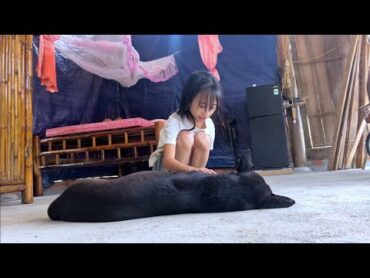 Poor girl&39;s Sunday. Fishing, cooking, taking care of pets. Uncle Dong didn&39;t come today.