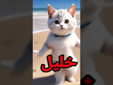 خليلالزيناسمخليل(اغنيةباسمخليل)(اسمخليل)(اغنيهخليل)خليلخليل