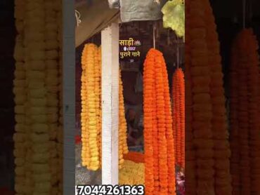 Wholesale Saree 7044261363
