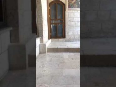 بوسى شلبى و نجوم الفن من صدنايه