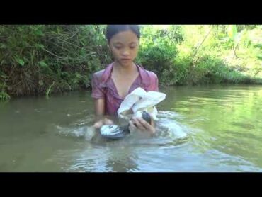Poor girl  Harvesting clams, snail go to the village to sell  Green forest life