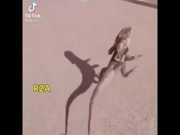هههههههههههههههه😂😂😂
