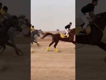 سباق خيل عربية🐎🔥 خيل خيل عربي اصيل
